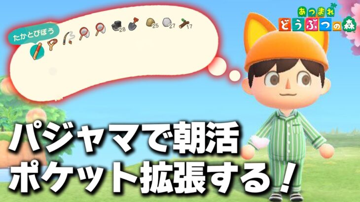 【あつ森】ポケット拡張する！あつまれどうぶつの森をマイル開けない縛りではじめから！#5【ライブ配信】