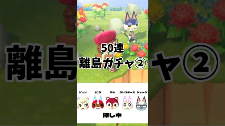 50連離島ガチャ② #あつ森 #あつまれどうぶつの森 #animalcrossingnewhorizons