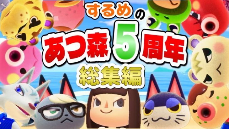 【あつ森5周年】5年間の島生活をぎゅぎゅっとまとめてみた！するめのあつ森総集編！