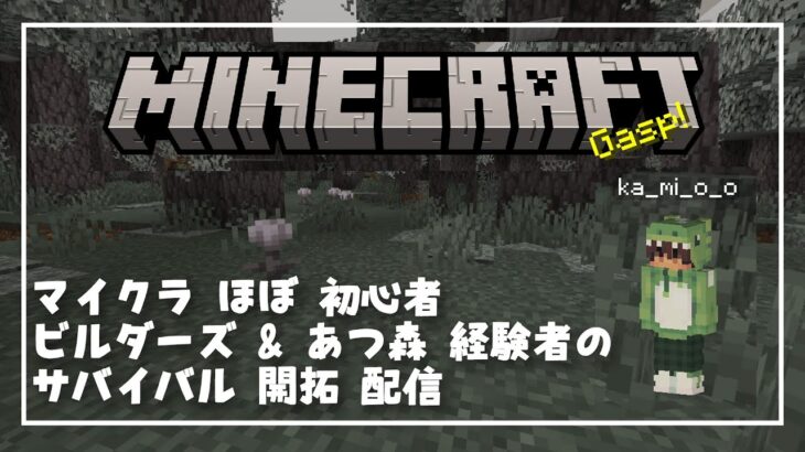 【マインクラフト】ほぼ初見 ビルダーズ & あつ森経験者のサバイバル配信 ＃6【minecraft】