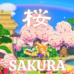 【あつ森BGM】桜が咲き誇る庭/心落ち着く和風音楽/Sakura Japanese Chill