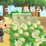 【あつ森】まったり島暮らし🌳朝活配信【LIVEアーカイブ】