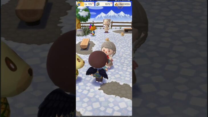 M_250226  #animalcrossing #animalcrossingnewhorizons #ポケ森 #pocketcamp #acnh #ゲーム #あつ森 #games #動物森友會