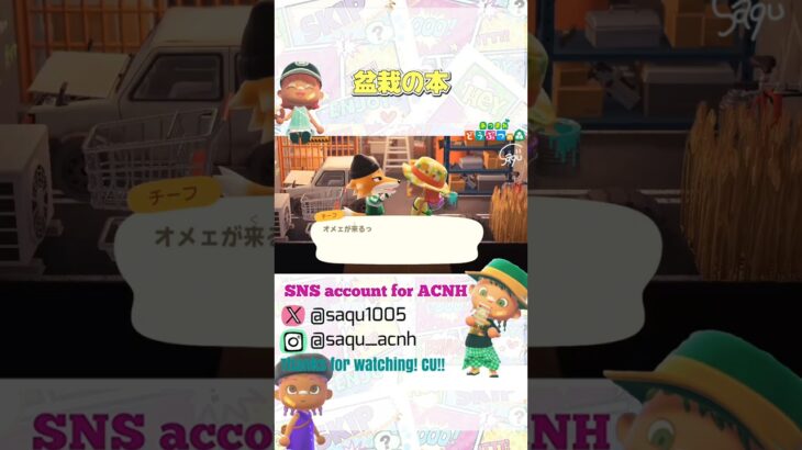 【盆栽の本】#あつ森 #acnh #どうぶつの森 #animalcrossing #あつ森ショート #short #shortyoutube