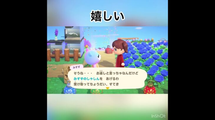 みすずちゃんから写真もらった　#あつ森 #あつまれどうぶつの森 #animalcrossing #vlog #shorts