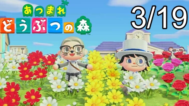 【あつ森】あなたの島を見せてください。夢番地か島に招待してくださいm(__)m　　【あつまれどうぶつの森ハッピーホームパラダイス】※ネタバレ注意