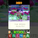 友釣り #あつまれどうぶつの森 #shorts #あつ森