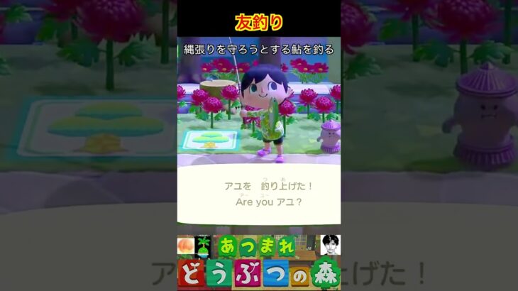友釣り #あつまれどうぶつの森 #shorts #あつ森