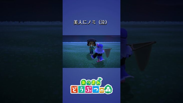 【あつ森】ノミ退治😭　#shorts