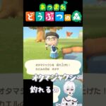 #あつ森#あつまれどうぶつの森 #switch