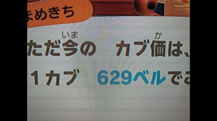 あつ森　カブ３００以上確定！！　誰でも参加可能！！