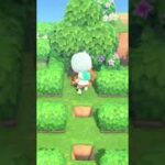 あつ森メーデー迷路クリア 20250430