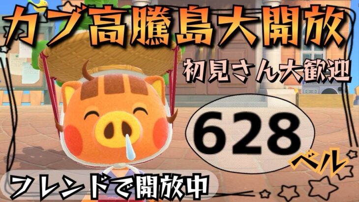 【あつ森実況】Nintendoswitch2解禁記念！カブ価最大628ベル！往復何度でも！！初見さん歓迎！