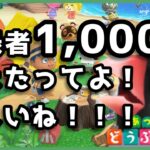 【あつまれどうぶつの森】バーチャル文鳥がやるあつ森Part 45　喜びに満ち溢れながらあつ森します【新人VTuber】