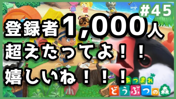 【あつまれどうぶつの森】バーチャル文鳥がやるあつ森Part 45　喜びに満ち溢れながらあつ森します【新人VTuber】