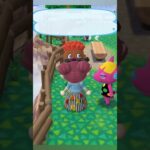 [#ポケ森#ポケ森コンプリート #あつ森 #あつまれどうぶつの森 #animalcrossing #とたけけ ]🌳ポケ森🌳今日は何してる？🤗