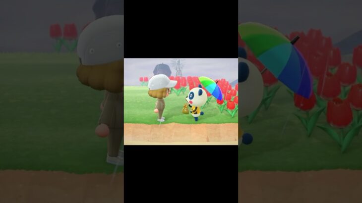 ごめんね…パンタ…。　#あつ森 #あつまれどうぶつの森 #animalcrossing #パンタ #島民 #shorts #あつ森ショート