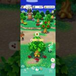 ポケ森 #ポケ森しか勝たん #あつ森 #dantdmanimalcrossing #あつまれどうぶつの森 #animalcrossing #animalcrossingnewhorizons
