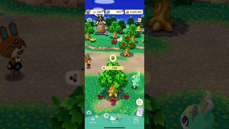 ポケ森 #ポケ森しか勝たん #あつ森 #dantdmanimalcrossing #あつまれどうぶつの森 #animalcrossing #animalcrossingnewhorizons