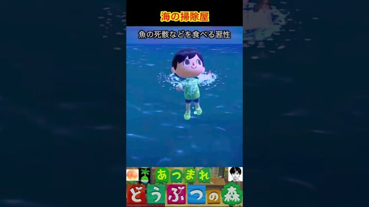 海の掃除屋 #あつまれどうぶつの森 #shorts #あつ森