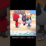 ジャックがキャビアに大人の対応？【あつ森】＃shorts