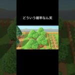 木から落ちすぎ笑#あつ森 #あつまれどうぶつの森 #shots