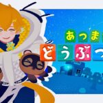 【あつまれ どうぶつの森】つぶきちとまめきち持って帰りたい その１２【宇佐美リト/にじさんじ】
