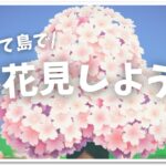 【あつ森】お花見しよう♪ライブ！【うさぽてと】