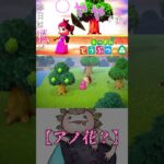 【あつまれどうぶつの森】アノ花？　#あつ森#どうぶつの森#かふぃー#ゲーム実況#切り抜き