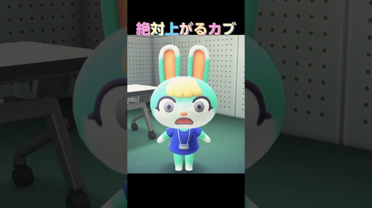 絶対上がるカブを買うためにお金を借りる【あつ森アニメ】#あつまれどうぶつの森