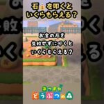 お金の石からいくら出る！？【あつ森】