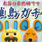 【あつ森】真の最終回！らっきょとモサキチを絶対見つける離島ガチャ配信！【あつまれ どうぶつの森】
