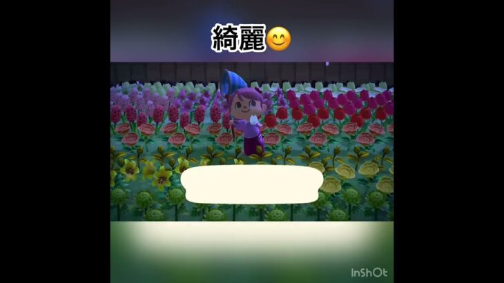 桜の花びらとさくらのレシピ集めてる🌸　#あつ森 #あつまれどうぶつの森 #vlog #shorts