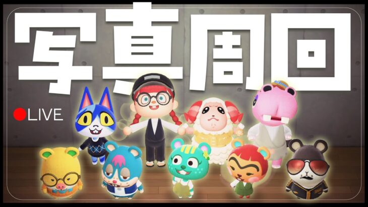 【あつ森 写真周回#02】住民の写真を貰うために親密度を上げるぞ!!📷｜#animalcrossing