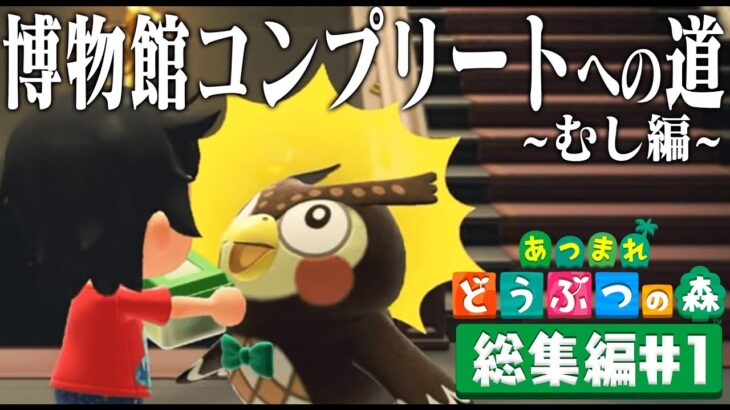 ドコムスのあつまれどうぶつの森「博物館コンプリート」むし総集編#1【ドコムス切り抜き】