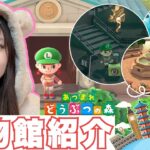 あつ森で国際ミュージアムデーを満喫！巨大博物館で過ごす1日【あつまれどうぶつの森】顔出し実況​