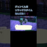 あつ森　#113　まったりしていきませんか？🐿️💕