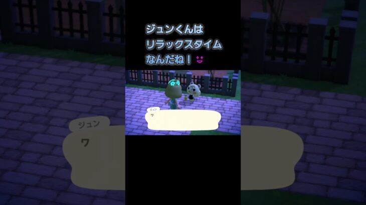 あつ森　#113　まったりしていきませんか？🐿️💕