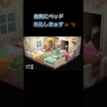 あつ森　#114　まったりしていきませんか？🐰😺✨️