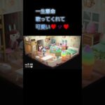 あつ森　#115　まったりしていきませんか？😺🐰🎵