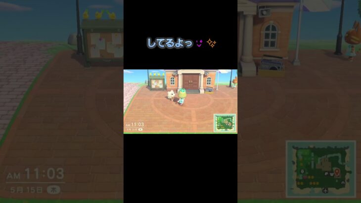 あつ森　#127　まったりしていきませんか？🐿️💕