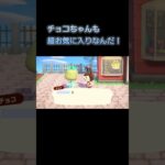 あつ森　#134　まったりしていきませんか？🐰🎵