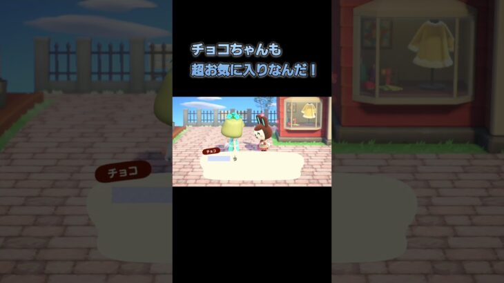 あつ森　#134　まったりしていきませんか？🐰🎵