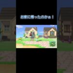 あつ森　#137　まったりしていきませんか？🐰🎵