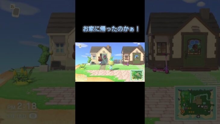あつ森　#137　まったりしていきませんか？🐰🎵