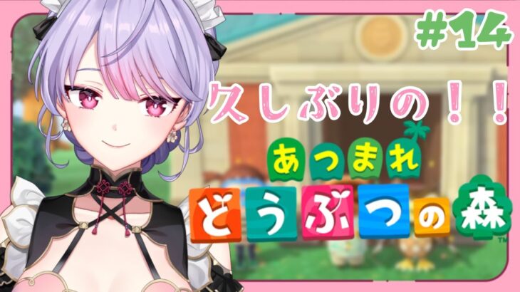 【あつまれどうぶつの森】#14  久しぶりのあつ森🏝️みんな…覚えてるかな……【にじさんじ/梢桃音】