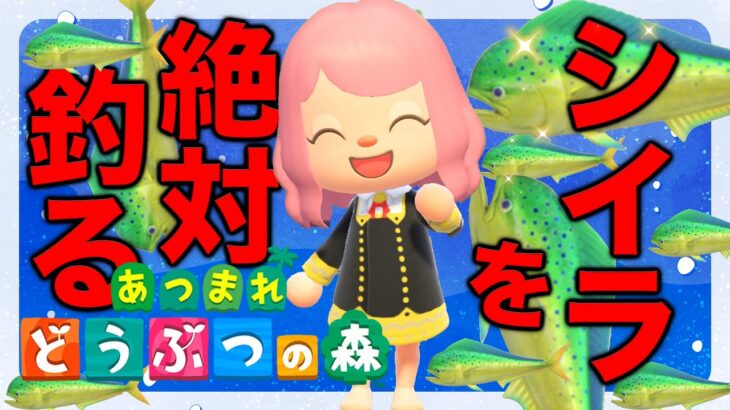 【あつ森】シイラを絶対に釣る！まきエサ150個用意した！！！『あつまれ どうぶつの森』 #縦型配信