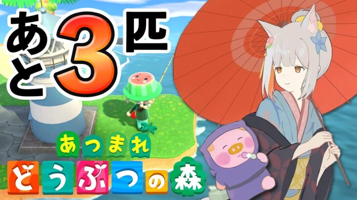 【あつ森】今度こそ！魚コンプまであと３匹！！！！釣る！釣る！！釣る！！！博物館制覇への道 2【おうまゆう】