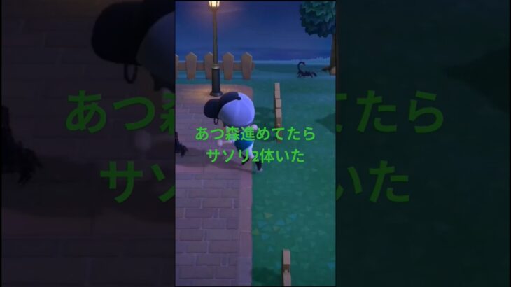 【あつ森】進めてたらサソリ2体いた笑