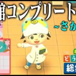 ドコムスの「あつまれどうぶつの森～博物館コンプリート～さかな編」総集編#2【ドコムス切り抜き】